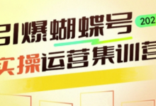 引爆蝴蝶号实操运营,助力你深度掌握蝴蝶号运营,实现高效实操,开启流量变现之路-蜗牛学社