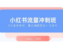 小红书流量冲刺班2025,最懂小红书的女人,快速教你2025年入局小红书-蜗牛学社