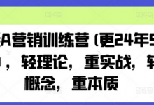 老A营销训练营(更25年1月),轻理论,重实战,轻概念,重本质-蜗牛学社