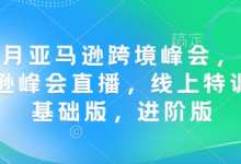 12月亚马逊跨境峰会, 亚马逊峰会直播,线上特训营基础版,进阶版-蜗牛学社