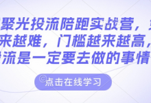 小红书聚光投流陪跑实战营,免费流量会越来越难,门槛越来越高,付费投流是一定要去做的事情-蜗牛学社