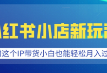 小红书小店新玩法,蹭这个IP带货,小白也能轻松月入过W-蜗牛学社