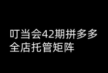 叮当会拼多多打爆班原创高阶技术第42期,拼多多全店托管矩阵-蜗牛学社