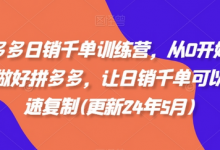 拼多多日销千单训练营,从0开始带你做好拼多多,让日销千单可以快速复制(更新25年2月)-蜗牛学社