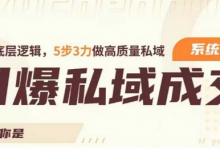 引爆私域成交力系统课，打通底层逻辑，5步3力做高质量私域-蜗牛学社