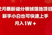 2月最新细分领域落地项目,新手小白也可快速上手,月入1W-蜗牛学社