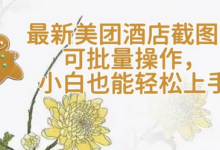 【轻云】最新美团酒店截图,可批量操作,小白也能轻松上手-蜗牛学社