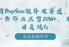 用DeepSeek做养生赛道,一条作品点赞20W+,单日变现1k-蜗牛学社
