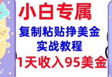 复制粘贴挣美金,0门槛,1天收入95美刀,3分钟学会,内部教程(首次公开)-蜗牛学社