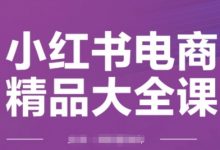 小红书电商精品大全课，快速掌握小红书运营技巧，实现精准引流与爆单目标，轻松玩转小红书电商(更新2月)-蜗牛学社