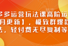 拼多多运营玩法课高阶运营【2月更新】,极致群爆款玩法,轻付费无尽复制等-蜗牛学社