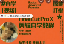 轻松玩转剪辑系统课,从零开始快速上手,同步练习高效学习,思维提升从简到难-蜗牛学社