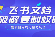 首发飞书文档PJ复制权限,售卖自用均可暴力玩法-蜗牛学社