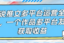 小说推文多平台运营全流程,一个作品多平台发布获取收益-蜗牛学社