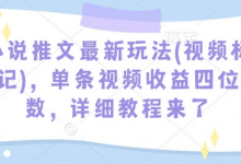 小说推文最新玩法(视频标记)，单条视频收益四位数，详细教程来了-蜗牛学社
