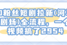 0粉丝短剧拉新(河马剧场)全流程,一个视频搞了2954-蜗牛学社