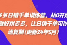 拼多多日销千单训练营，从0开始带你做好拼多多，让日销千单可以快速复制(更新25年3月)-蜗牛学社
