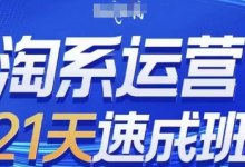 淘系运营21天速成班(更新25年3月),0基础轻松搞定淘系运营,不做假把式-蜗牛学社