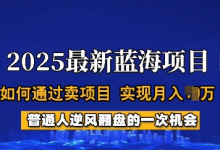 2025蓝海项目,普通人如何通过卖项目,实现月入过W,全过程-蜗牛学社