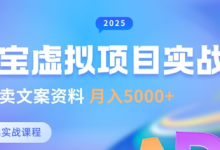 淘宝虚拟项目垂直玩法,新手卖文案资料,月入5k+-蜗牛学社
