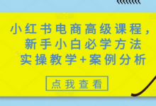小红书电商高级课程,新手小白必学方法,实操教学+案例分析-蜗牛学社