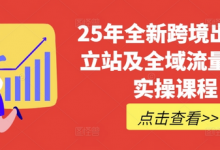 25年全新跨境出海独立站及全域流量营销实操课程，跨境电商独立站TIKTOK全域营销普货特货玩法大全-蜗牛学社