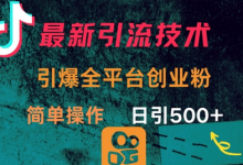 最新引流方法,引爆全平台的一个创业粉,简单操作日引300+-蜗牛学社