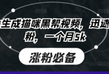 即梦AI生成猫咪黑帮视频,迅速起号涨粉,一个月5k-蜗牛学社