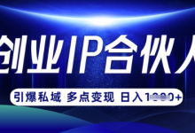 云帆·创业ip合伙人打造3.0,从0到1教你做网创,实现月入过W-蜗牛学社