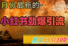 小红书超劲爆引流手段，图文日引300+轻松变现1W-蜗牛学社