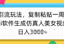 暴力引流玩法,复制粘贴一周1w粉,ai软件生成仿真人美女视频,日入多张-蜗牛学社
