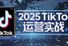 2025TikTok电商运营,掌握TikTok店铺运营核心技巧,实现低成本高转化-蜗牛学社