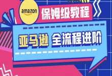 亚马逊保姆级全流程实操教程-跨境电商教程-蜗牛学社
