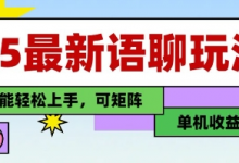 25年最新语聊玩法,纯手工,单机收益100+,小白也能轻松上手,可矩阵操作-蜗牛学社