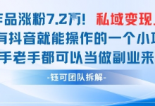 抖音私域项目23条作品涨粉7.2W,私域变现1W-蜗牛学社