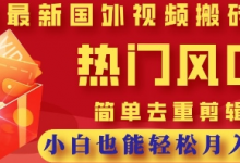2025最新视频搬砖项目,热门风口,简单去重剪辑,小白也能轻松月入过W-蜗牛学社