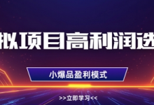 虚拟项目高利润选品方法,做好单店利润1W+,可多店倍增利润-蜗牛学社