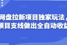 2025网盘拉新项目独家玩法,靠主项目支线做出全自动收益-蜗牛学社