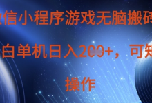 微信小程序游戏无脑搬砖，单设备日入2张+，可矩阵操作-蜗牛学社