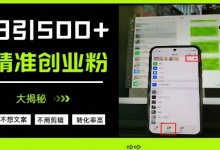 不需要我们去想文案,也不需要我们去剪辑视频,日引500+精准创业粉,方法大揭秘-蜗牛学社