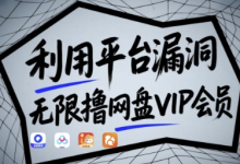 利用平台漏洞,无限撸网盘VIP会员,用户亲测有效!【漏洞原理+操作演示】-蜗牛学社
