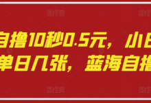 语聊自撸10秒0.5元,小白轻松上手单日几张,蓝海自撸项目-蜗牛学社