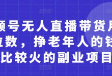 视频号无人直播带货月入5位数,挣老年人的钱,比较火的副业项目-蜗牛学社