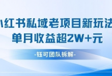 小红书私域项目新玩法,单月变现过W+-蜗牛学社