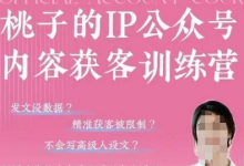 桃子IP公众号内容获客训练营(第3期)，一门让你公众号从0到商业闭环的课程-蜗牛学社