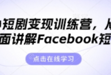 海外短剧变现训练营,从0-1全面讲解Facebook短剧-蜗牛学社