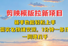 剪映模板拉新项目:新手也能轻松上手,无需实名,快速变现,一分钟一条作品,一周挣几k-蜗牛学社