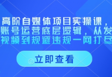 AI高阶自媒体项目实操课,讲透账号运营底层逻辑,从发布视频到规避违规一网打尽-蜗牛学社