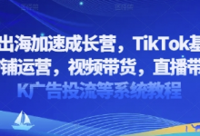 2025出海加速成长营,TikTok基建选品,店铺运营,视频带货,直播带货,TK广告投流等系统教程-蜗牛学社