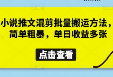 小说推文混剪批量搬运方法,简单粗暴,单日收益多张-蜗牛学社